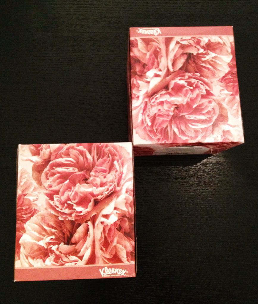 Pink Roses