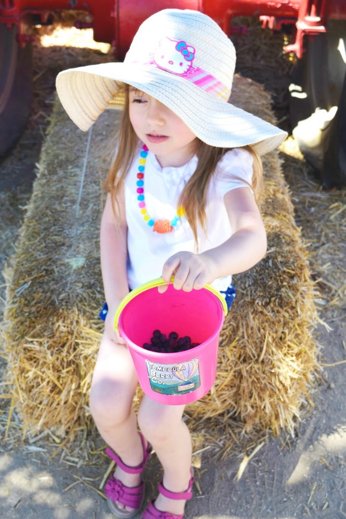 Temecula-Blueberry-Farm