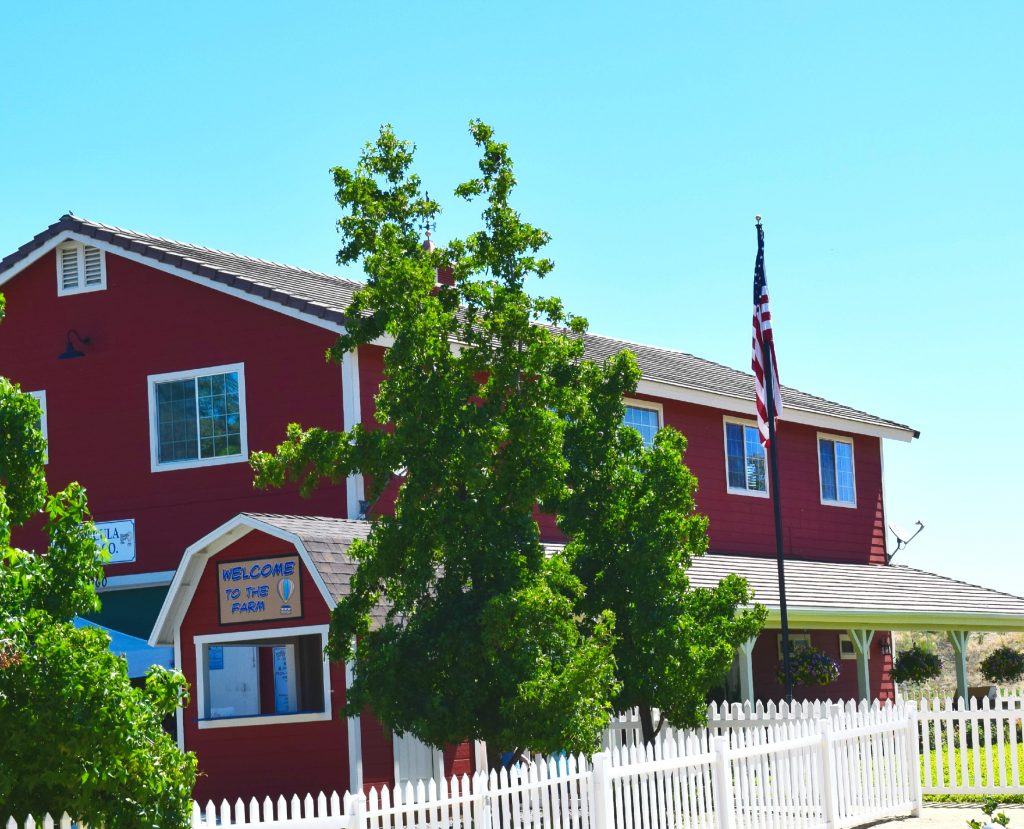 Temecula-Blueberry-Farm