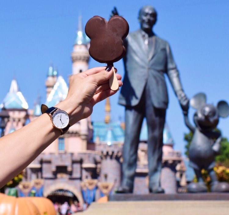 Tips-to-save-money-at-Disneyland-Daniel-Wellington-Watch-Disneyland-Walt Disney-Mickey Mouse-castle