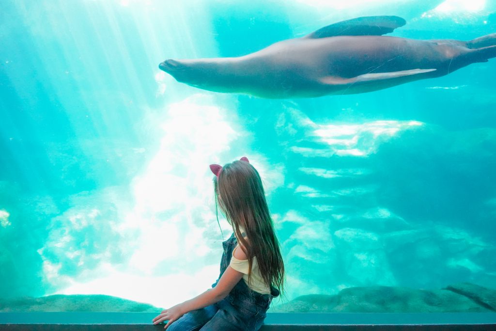 The-Aquarium-of-the-pacific-Visit-Long-Beach-CA-Family Vacation-Travel with kids