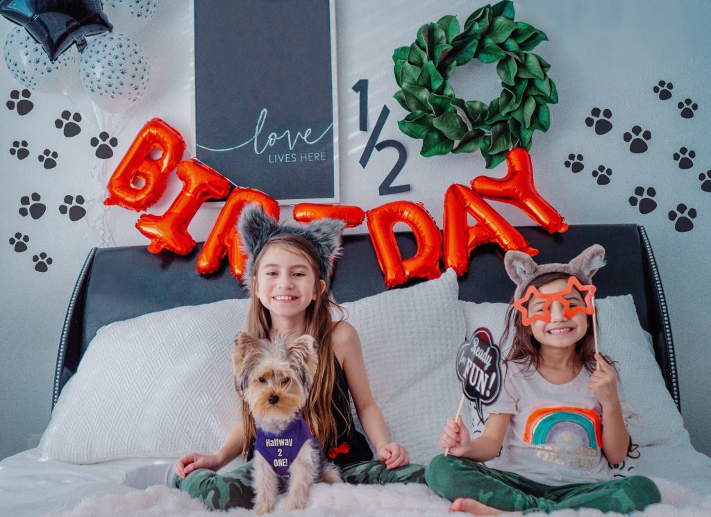 Dog birthday-puppy half birthday-1/2 birthday-yorkie