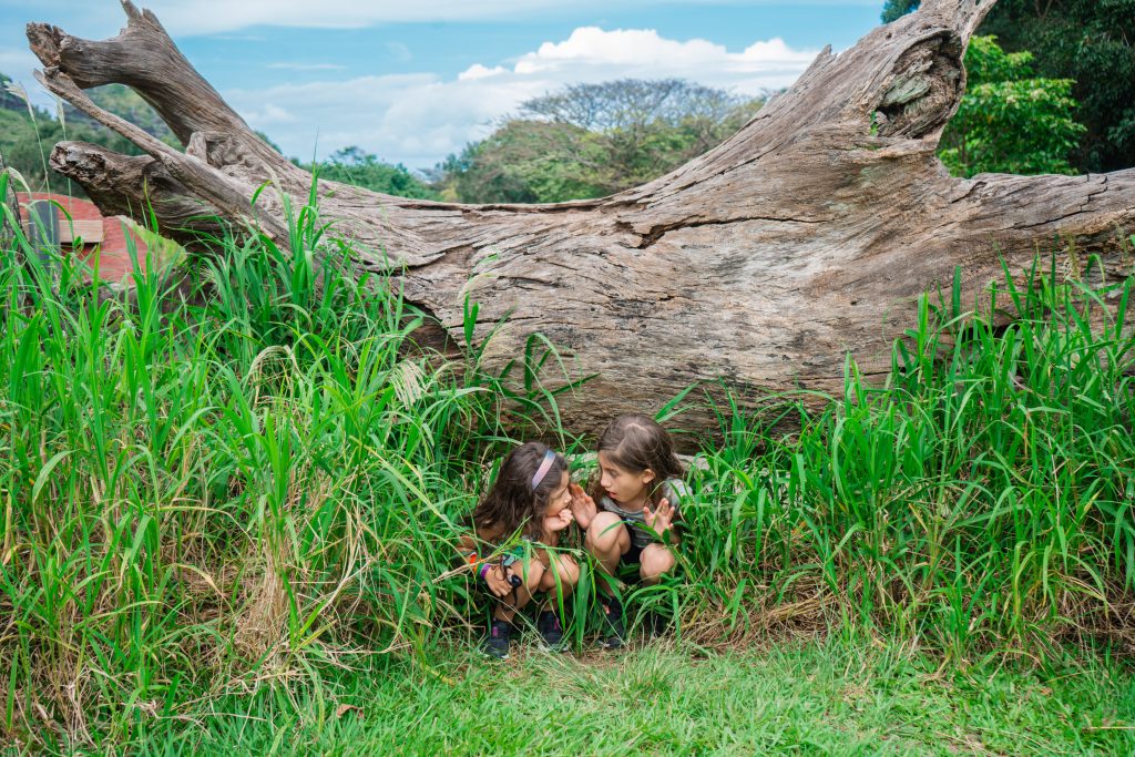 A New Kualoa Ranch Jurassic Adventure Tour 2021 - Kualoa Ranch Movie Tour - Kualoa Ranch Jurassic Valley-Jurassic Adventure Tour Kualoa Ranch - Kualoa Ranch Jumanji-Kualoa Ranch best tour