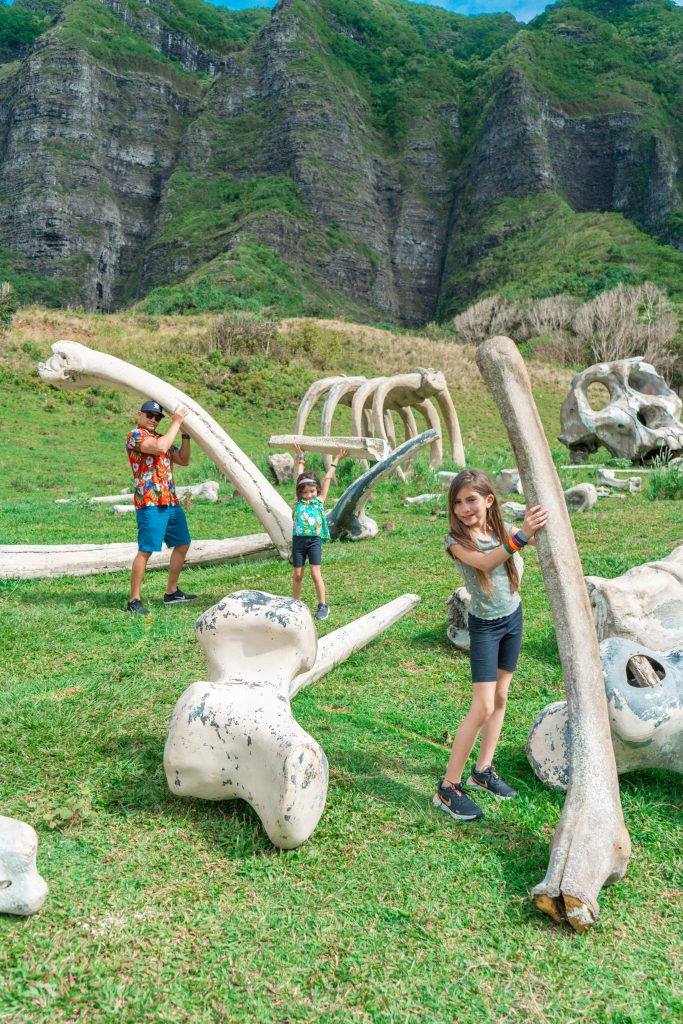 Jurassic Adventure Tour  Kualoa Ranch Jurassic Park Hawaii Tour